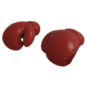 Killing Gloves of Boxing